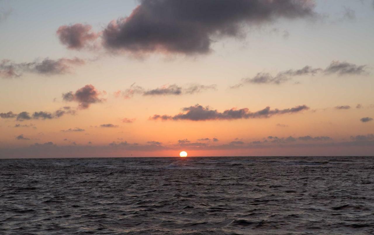 139 Ferienhaus Am Wattenmeer Sande Zewnętrze zdjęcie
